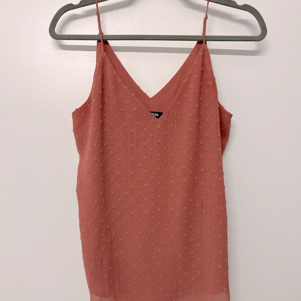 Express Pink Blouse